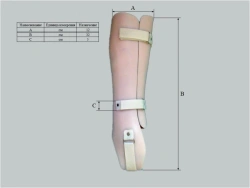 Custom Cosmetic Tutor for Lower Leg