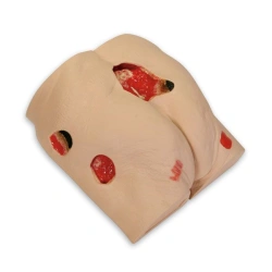 Phantom of Pressure Ulcers - Elderly Torso Model