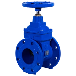 Flanged Gate Valve with Rubberized Wedge Ridval