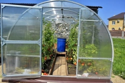 Standard Greenhouse with Galvanized Frame 3m Length