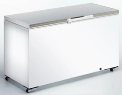 Chest Freezer, DERBY Brand, Model F48S
