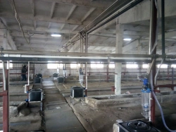 Technological Equipment for Food Industry - Milk Pipeline ADM-50