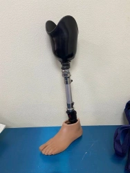 Modular Lower Limb Prosthesis for Developmental Disorders