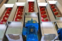 Screw Conveyor with Electric Drive for Waste Transport