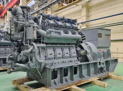 Gas-Powered Generator Engine 1-9GMG