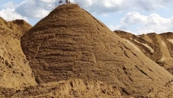 Natural Construction Sand Class 1 (Washed), Coarse from Sychevskoye Deposit, Moscow Region