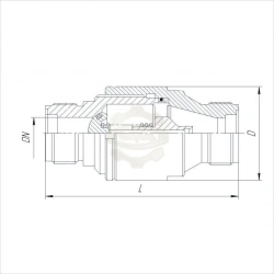 Flanged Non-Return Valve DN 50 PN 2.5 MPa (25 kgf/cm²) ITSHL.494315.003