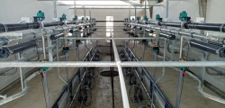 Milking System (Salle) "Yelочка" - SCR Technology