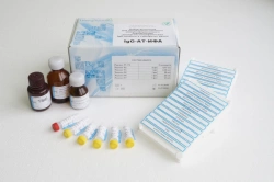 Allergen-Specific IgG Antibodies Testing Kit for Blood Serum" (semi-quantitative immunoassay) IgG-AT-IFA