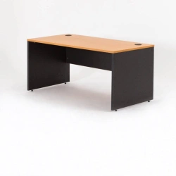 Office and Educational Desk by Home Evolution