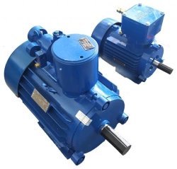 Low Voltage Asynchronous Electric Motors Series VADM 63mm – 225mm, 750W to 75kW