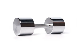 Chrome Dumbbell 10 kg
