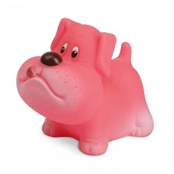 Charming Pug Dog for Play and Companionship