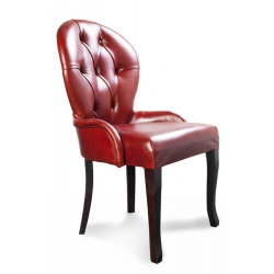 Elegant "Lyra" Chair with Soft Seat and Curved Backrest