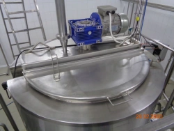 Yogurt Starters Type OZU and Their Modifications