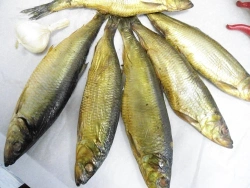 Hot Smoked Herring, Whole, GOST Compliant