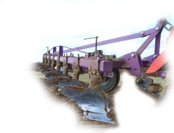 Hinged Plow for Soil Tillage PLN-8-35PV