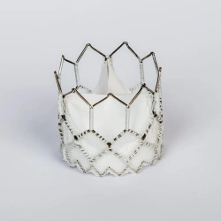 Heart Valve Prosthesis