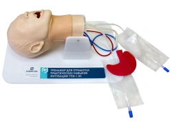 Anatomically Correct Intubation Training Simulator TPI-1.03 MU0271