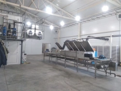 Blanching and Defrosting Conveyor Model KBD-400