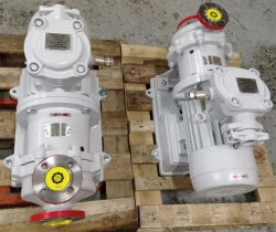 Centrifugal Electric Pump Unit CMG-M1 6.3/32