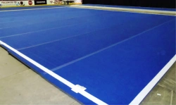 Aerobic, Fitness, and Cheerleading Carpet by "SER-BA