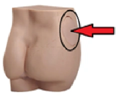 Mannequin Insert for KAP/T1 Model