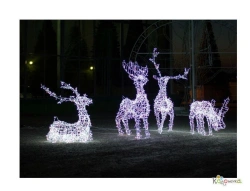 Illuminated Reindeer Figure for Festive Decoration