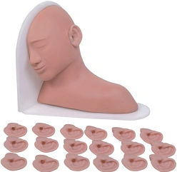 Ear Disease Examination Model NS6052 / LV16