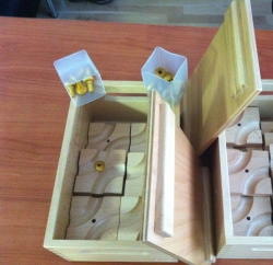 Convenient Carrying Box with Lid