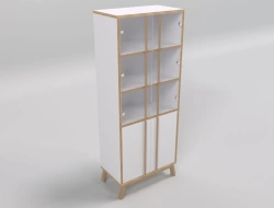 Elegant Document Cabinet with Glass Facades RK1