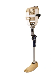 Modular Hip Prosthesis PN6-M