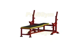 Heavy-Duty Bench Press with Supports and Wheelchair Access, Model 2СК-0042-HР