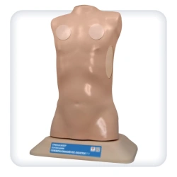 Pediatric Pleural Puncture Training Model L70A