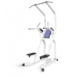 Pull-up & Parallel Bars