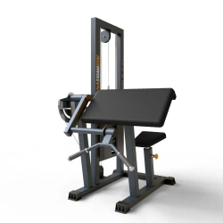 Isolated Bicep Curl Machine BF-106