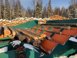 Individual Log Disconnector Stepfeeder AXEL 03-2