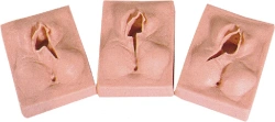 Episiotomy and Suturing Training Model, H