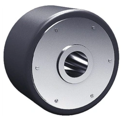 Chain Guide Roller for Sludge Pumping Systems