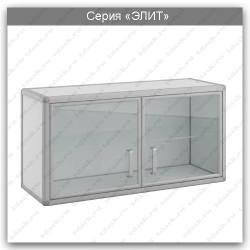 Elite Series Wall-Mounted Laboratory Cabinet: SHN.02.01