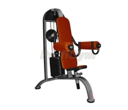 Delta Machine for Isolated Loading of Deltoid Muscles TG-0100-C