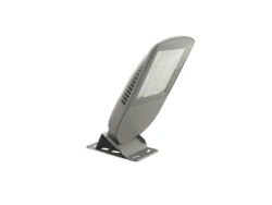 Rigel LED 55 LED Light Fixture
