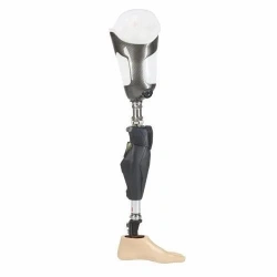 Modular Microprocessor-Controlled Hip Prosthesis PN6-OB-E