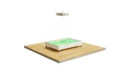 Interactive Floor 2-in-1 Ronplay Kids RsB 4