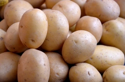 Late-season table-grade potatoes